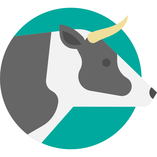 Cow Feed