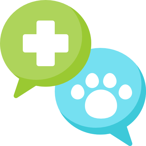 Cat Health