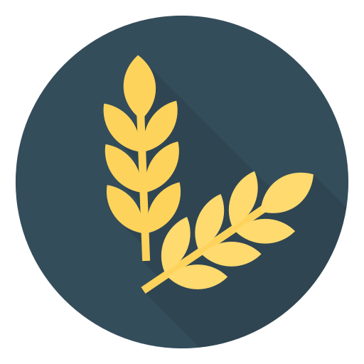 Oat Hay